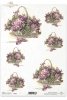 kwiaty, kwiatki, fiołek, fiołki, koszyk fiołków, R168, flower, flowers, violet, violets, basket, old graphics, Blumen Veilchen, Veilchen auf alten Grafiken, flores violetas, violetas en viejos gráficos 